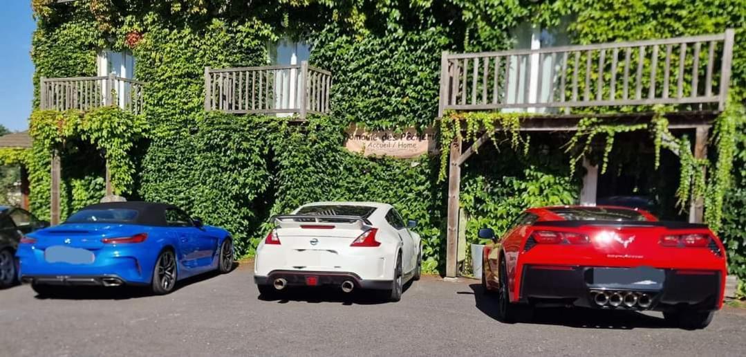 Domaine Des Pecheries Montel-de-Gelat Bagian luar foto